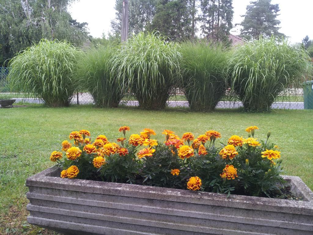 Hajas Família Kiadó Szobák Balatonmáriafürdő Esterno foto